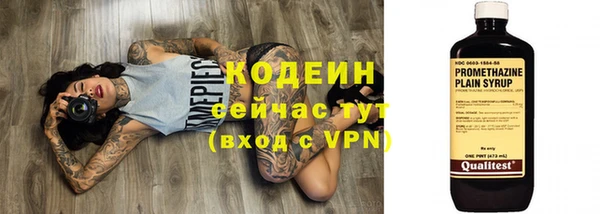 тгк Арсеньев