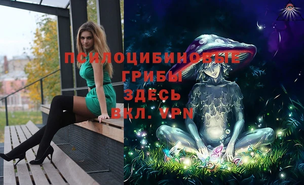 ПСИЛОЦИБИНОВЫЕ ГРИБЫ Аркадак