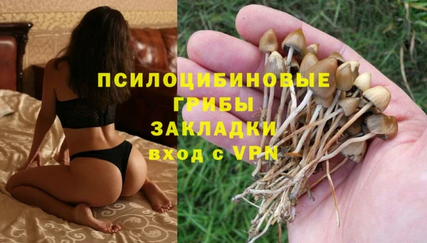 ПСИЛОЦИБИНОВЫЕ ГРИБЫ Аркадак