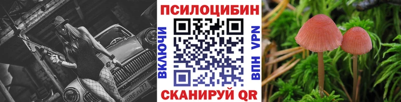 Псилоцибиновые грибы Psilocybe  где купить наркоту  Острогожск 